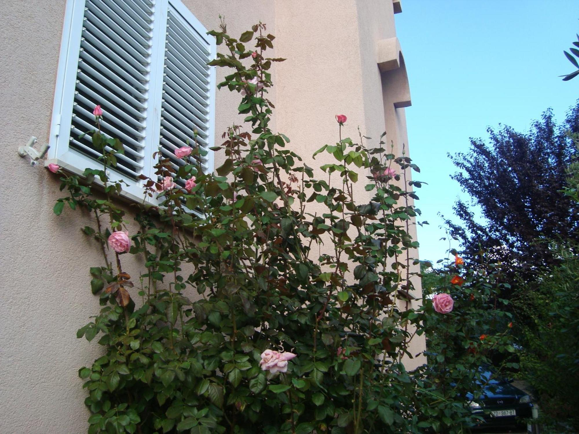 Apartments Eja زادار المظهر الخارجي الصورة